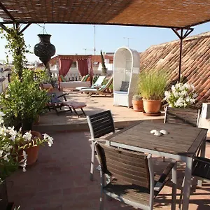 Casa Beleza Do Sul Guest house